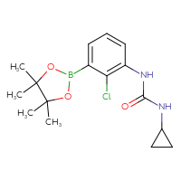 Chemical structure of 1-[2-chloro-3-(4,4,5,5-tetramethyl-1,3,2-dioxaborolan-2-yl)phenyl]-3-cyclopropylurea - CSSB06745173836