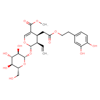 Chemical structure of methyl (2S,3R,4S)-4-{2-[2-(3,4-dihydroxyphenyl)ethoxy]-2-oxoethyl}-3-ethenyl-2-{[(2S,3R,4S,5S,6R)-3,4,5-trihydroxy-6-(hydroxymethyl)oxan-2-yl]oxy}-3,4-dihydro-2H-pyran-5-carboxylate - CSSB00159261916