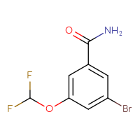 Chemical structure of 3-bromo-5-(difluoromethoxy)benzamide - CSSB00135329021