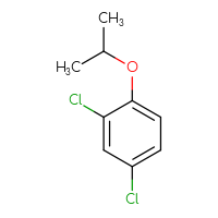 Chemical structure of 2,4-dichloro-1-(propan-2-yloxy)benzene - CSSB00000005819