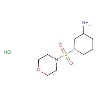 Chemical structure of 1-(morpholine-4-sulfonyl)piperidin-3-amine hydrochloride - CSSB00000757534