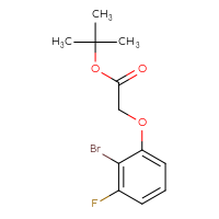 Chemical structure of tert-butyl 2-(2-bromo-3-fluorophenoxy)acetate - CSSB00022282895