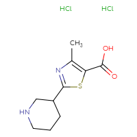 Chemical structure of 4-methyl-2-(piperidin-3-yl)-1,3-thiazole-5-carboxylic acid dihydrochloride - CSSB00116210289