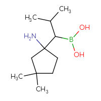 C11H24BNO2