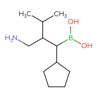 C11H24BNO2