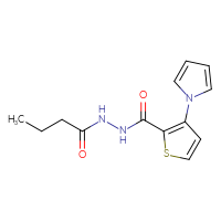 Chemical structure of N'-butanoyl-3-(1H-pyrrol-1-yl)thiophene-2-carbohydrazide - CSSB00138428827