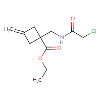 Chemical structure of ethyl 1-[(2-chloroacetamido)methyl]-3-methylidenecyclobutane-1-carboxylate - CSSB21332098134