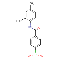 Chemical structure of {4-[(2,4-dimethylphenyl)carbamoyl]phenyl}boronic acid - CSSB00020605289