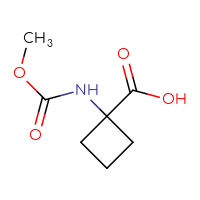 C7H11NO4