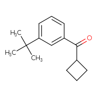 Chemical structure of (3-tert-butylphenyl)(cyclobutyl)methanone - CSSB00017830873