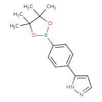 Chemical structure of 5-[4-(4,4,5,5-tetramethyl-1,3,2-dioxaborolan-2-yl)phenyl]-1H-pyrazole - CSSB00010082186