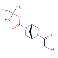 Chemical structure of tert-butyl (1S,4S)-5-(2-aminoacetyl)-2,5-diazabicyclo[2.2.1]heptane-2-carboxylate - CSSB14879889961