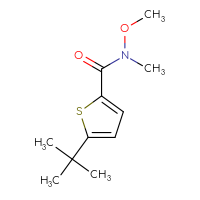 Chemical structure of 5-tert-butyl-N-methoxy-N-methylthiophene-2-carboxamide - CSSB01992278563
