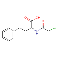 Chemical structure of (2R)-2-(2-chloroacetamido)-4-phenylbutanoic acid - CSSB21531615419