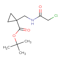 Chemical structure of tert-butyl 1-[(2-chloroacetamido)methyl]cyclopropane-1-carboxylate - CSSB01095731597