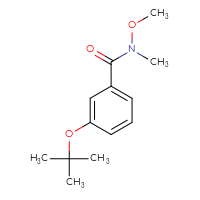 Chemical structure of 3-(tert-butoxy)-N-methoxy-N-methylbenzamide - CSSB00103401975