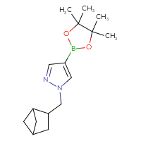 Chemical structure of 1-({bicyclo[2.1.1]hexan-2-yl}methyl)-4-(4,4,5,5-tetramethyl-1,3,2-dioxaborolan-2-yl)-1H-pyrazole - CSSB02134307951