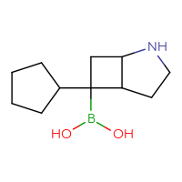C11H20BNO2