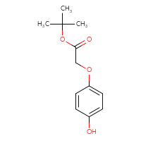 Chemical structure of tert-butyl 2-(4-hydroxyphenoxy)acetate - CSSB00010254572