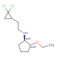 C12H21Cl2NO
