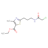 Chemical structure of ethyl 2-[3-(2-chloroacetamido)propyl]-4-methyl-1,3-thiazole-5-carboxylate - CSSB21332098568