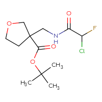 Chemical structure of tert-butyl 3-[(2-chloro-2-fluoroacetamido)methyl]oxolane-3-carboxylate - CSSB21332121795