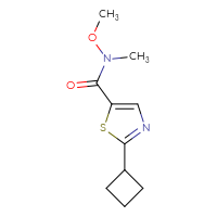 Chemical structure of 2-cyclobutyl-N-methoxy-N-methyl-1,3-thiazole-5-carboxamide - CSSB07044689027