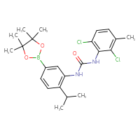 Chemical structure of 1-(2,6-dichloro-3-methylphenyl)-3-[2-(propan-2-yl)-5-(4,4,5,5-tetramethyl-1,3,2-dioxaborolan-2-yl)phenyl]urea - CSSB21332090002