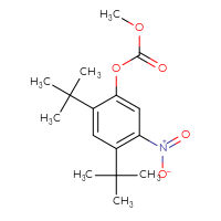 Chemical structure of 2,4-di-tert-butyl-5-nitrophenyl methyl carbonate - CSSB00015191004
