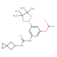 Chemical structure of 1-[3-(difluoromethoxy)-5-(4,4,5,5-tetramethyl-1,3,2-dioxaborolan-2-yl)phenyl]-3-{spiro[2.3]hexan-5-yl}urea - CSSB21332134255
