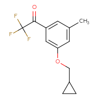 Chemical structure of 1-[3-(cyclopropylmethoxy)-5-methylphenyl]-2,2,2-trifluoroethan-1-one - CSSB21103686556