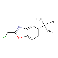 Chemical structure of 5-tert-butyl-2-(chloromethyl)-1,3-benzoxazole - CSSB00011314890
