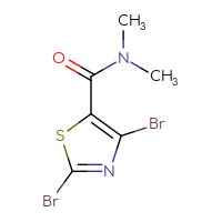 Chemical structure of 2,4-dibromo-N,N-dimethyl-1,3-thiazole-5-carboxamide - CSSB21043415430