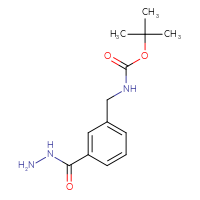 Chemical structure of tert-butyl N-{[3-(hydrazinecarbonyl)phenyl]methyl}carbamate - CSSB02126175414