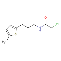 Chemical structure of 2-chloro-N-[3-(5-methylthiophen-2-yl)propyl]acetamide - CSSB20559875818