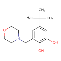 Chemical structure of 5-tert-butyl-3-[(morpholin-4-yl)methyl]benzene-1,2-diol - CSSB00027790846