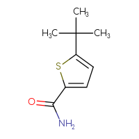 Chemical structure of 5-tert-butylthiophene-2-carboxamide - CSSB00000081154