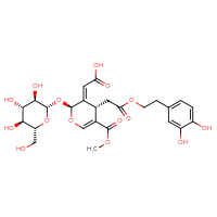 Chemical structure of 2-[(2S,3E,4S)-4-{2-[2-(3,4-dihydroxyphenyl)ethoxy]-2-oxoethyl}-5-(methoxycarbonyl)-2-{[(2S,3R,4S,5S,6R)-3,4,5-trihydroxy-6-(hydroxymethyl)oxan-2-yl]oxy}-3,4-dihydro-2H-pyran-3-ylidene]acetic acid - CSSB00159280224
