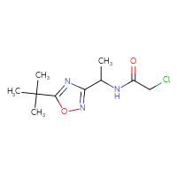 Chemical structure of N-[1-(5-tert-butyl-1,2,4-oxadiazol-3-yl)ethyl]-2-chloroacetamide - CSSB21332080554