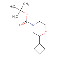 Chemical structure of tert-butyl 2-cyclobutylmorpholine-4-carboxylate - CSSB00113668336