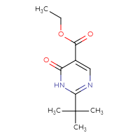 Chemical structure of ethyl 2-tert-butyl-6-oxo-1,6-dihydropyrimidine-5-carboxylate - CSSB00000238321