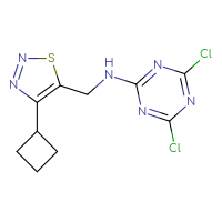 Chemical structure of 4,6-dichloro-N-[(4-cyclobutyl-1,2,3-thiadiazol-5-yl)methyl]-1,3,5-triazin-2-amine - CSSB03473073297