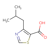 Chemical structure of 4-(2-methylpropyl)-1,3-thiazole-5-carboxylic acid - CSSB00012176087