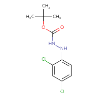 Chemical structure of N'-(2,4-dichlorophenyl)(tert-butoxy)carbohydrazide - CSSB03510727134