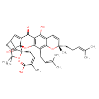 Chemical structure of (2Z)-4-[(1S,2S,8S,19R)-12-hydroxy-8,21,21-trimethyl-5-(3-methylbut-2-en-1-yl)-8-(4-methylpent-3-en-1-yl)-14,18-dioxo-3,7,20-trioxahexacyclo[15.4.1.0²,¹⁵.0²,¹⁹.0⁴,¹³.0⁶,¹¹]docosa-4(13),5,9,11,15-pentaen-19-yl]-2-methylbut-2-enoic acid - CSSB06744481978