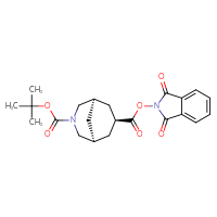 Chemical structure of 3-tert-butyl 7-(1,3-dioxo-2,3-dihydro-1H-isoindol-2-yl) (1R,5S,7s)-3-azabicyclo[3.3.1]nonane-3,7-dicarboxylate - CSSB02517075650
