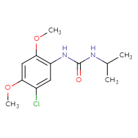 Chemical structure of 1-(5-chloro-2,4-dimethoxyphenyl)-3-(propan-2-yl)urea - CSSB00000419723