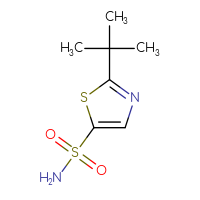 Chemical structure of 2-tert-butyl-1,3-thiazole-5-sulfonamide - CSSB00102679338