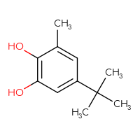 Chemical structure of 5-tert-butyl-3-methylbenzene-1,2-diol - CSSB00000073643