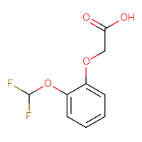 Chemical structure of 2-[2-(difluoromethoxy)phenoxy]acetic acid - CSSB00048273423
